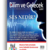 bg-137-k