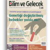 bg-146-k